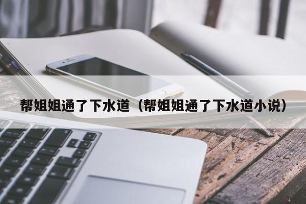 帮姐姐通了下水道（帮姐姐通了下水道小说）