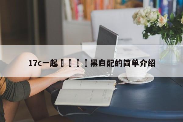 17c一起🌿黑白配的简单介绍