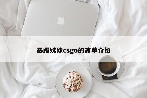 暴躁妹妹csgo的简单介绍