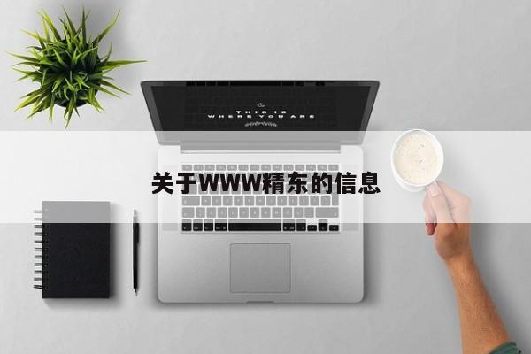 关于WWW精东的信息