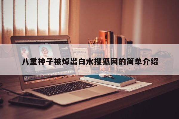 八重神子被焯出白水搜狐网的简单介绍