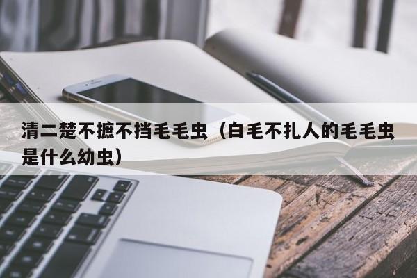 清二楚不摭不挡毛毛虫（白毛不扎人的毛毛虫是什么幼虫）